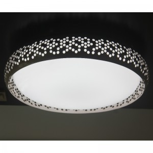 CX23ceiling Light