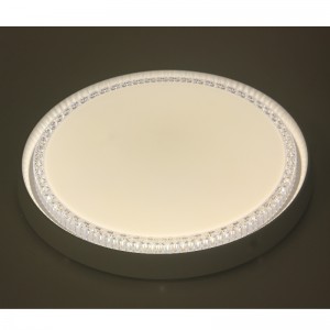 CX312 ceiling Light