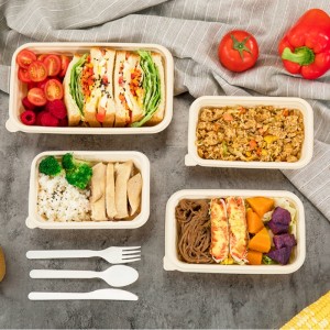 Hình vuông thân thiện với môi trường có thể phân hủy được hộp đựng thực phẩm dùng một lần hộp đựng thực phẩm có thể phân hủy sinh học chứa tinh bột ngô