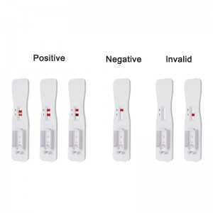 V-Cheesed.4;Một lá bài kiểm tra nhanh