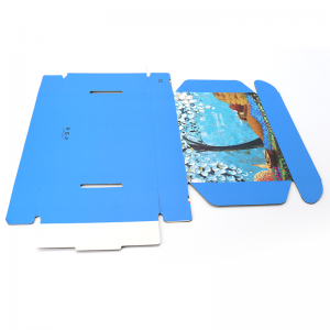 Tuck Đăng ký Bao bì Giày In Màu Giấy Vận chuyển Màu xanh Tùy chỉnh Logo Mailer Hộp