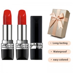 Son môi thương hiệu lớn