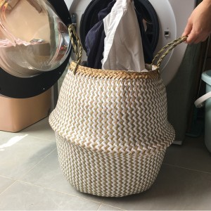 Lưu trữ rong biển