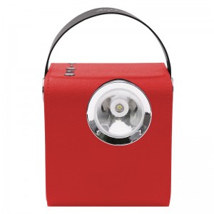 Loa bluetooth gỗ FB-BS5060 có đèn pin LED