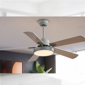 Quạt ánh sáng fl z BS5671C 42