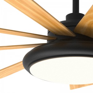 Đèn quạt fl z BS9631 52