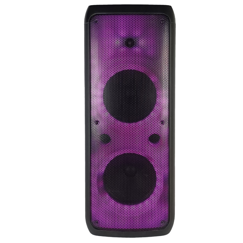 Thiết kế FB-PS210 Loa dành cho bữa tiệc Bluetooth với đèn LED RGB