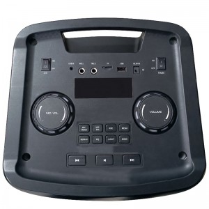 Thiết kế FB-PS210 Loa dành cho bữa tiệc Bluetooth với đèn LED RGB