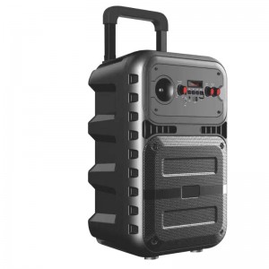 Loa Bluetooth Bluetooth Tailgate FB-PS0808 với đèn LED chiếu sáng