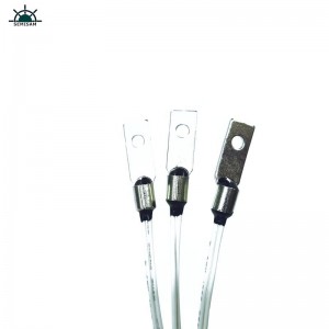 Nhà máy Trung Quốc OEM Tùy chỉnh B Giá trị B 4050K 10k Ohm NTC Cảm biếnnhiệt độnhiệt độ cho máy in 3D