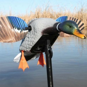 Mallardnhựa Drake Motorized Săn vịt Decoys