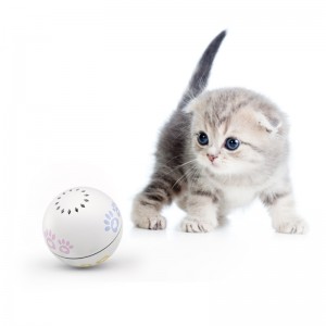 Tương tác Laser Cat Ball Đồ chơi
