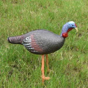 Đầu dò gà 3D 41T3D2 31T3D2 Bắn cung Plactice sử dụng mục tiêu giốngnhư thật