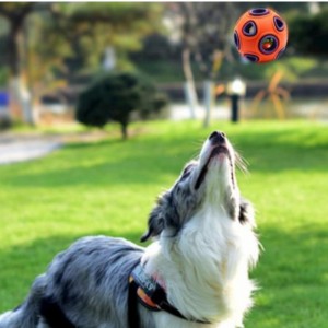 Đồ chơi chó lednổi