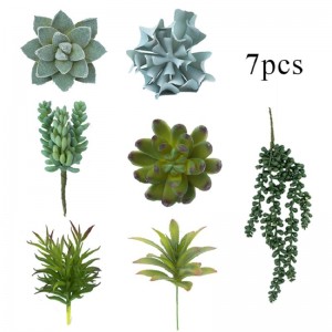 mô phỏng caonhân tạo mọngnước