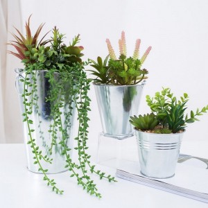 Nhà máy cung cấp trực tiếpnhân tạo mọngnước trongnồi sắt