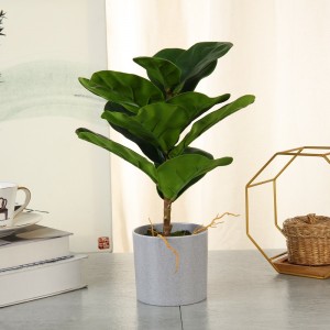 bán toàn bộ câynhân tạo cảm ứng thực sự trongnồi