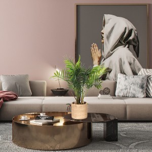 Câynhựanhân tạo trang trí cho phòng khách với chất lượng cao và đẹp mắt và cảmnhận cảm động thực sự.