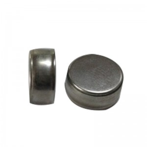 Nhà sản xuất pin TWS Tainghe Polyme đặc biệt Pin lithium LR1254 Nút pin Tùy chỉnh chuyênnghiệp