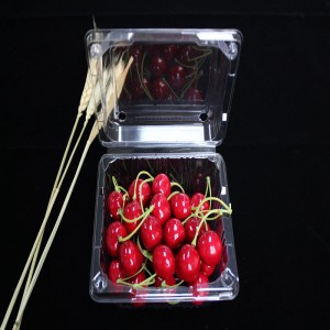 Vỏ sò bao bì thực phẩm