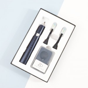 HAOLE OEM Loại C Thay thế có thể sạc lại Nhãn riêng Bàn chải đánh răng điện tự động Sonic