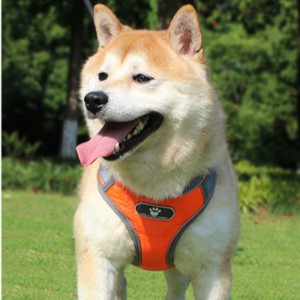 Bán buôn OEM Sản xuất Tùy chỉnh cao cấp Chó khai thác Luxury Pet Dog Reversible Khai thác Chó phản chiếu Khai thác