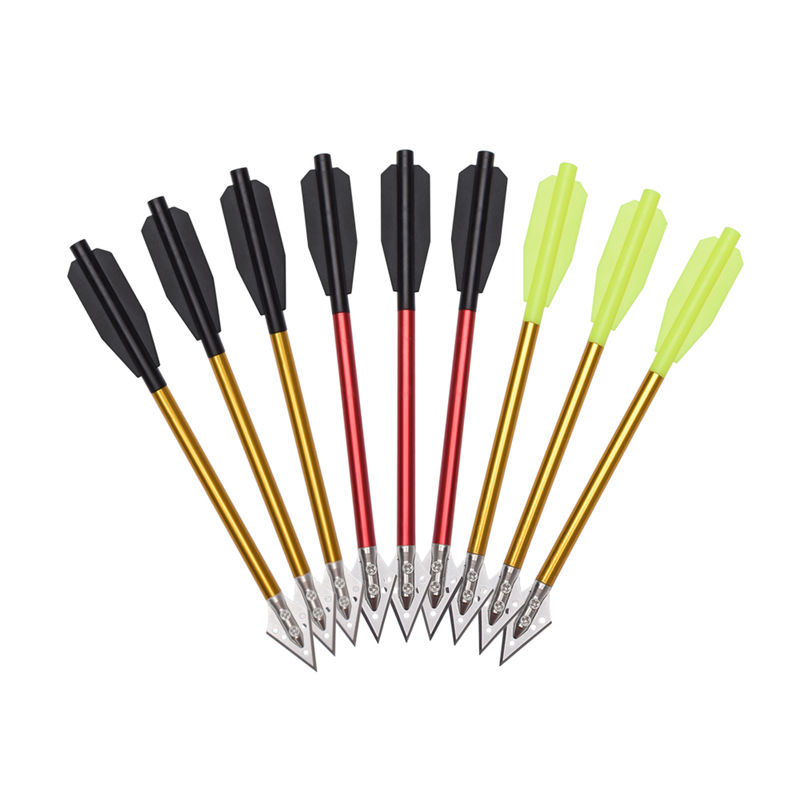 Thời gian làm việc