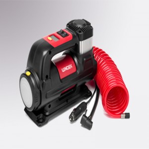 Lốp xe hơi (B55A)