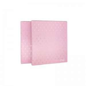 Trường A4 Kích thước Nhựa Nhựa Arch File Thư mục 3 o Binder cho tài liệu