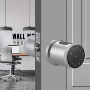 3005 Khóa cửa thông minh bảo mật, khóa cửa vân tay không cần chìa khóa, khóa cửa vào với bàn phím cửa thông minh