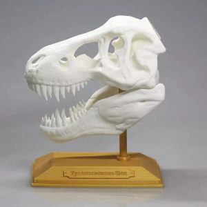 Bộ in thử mô- tượng in 3D