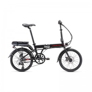 ĐÀN TRUNG HỒ CẦM