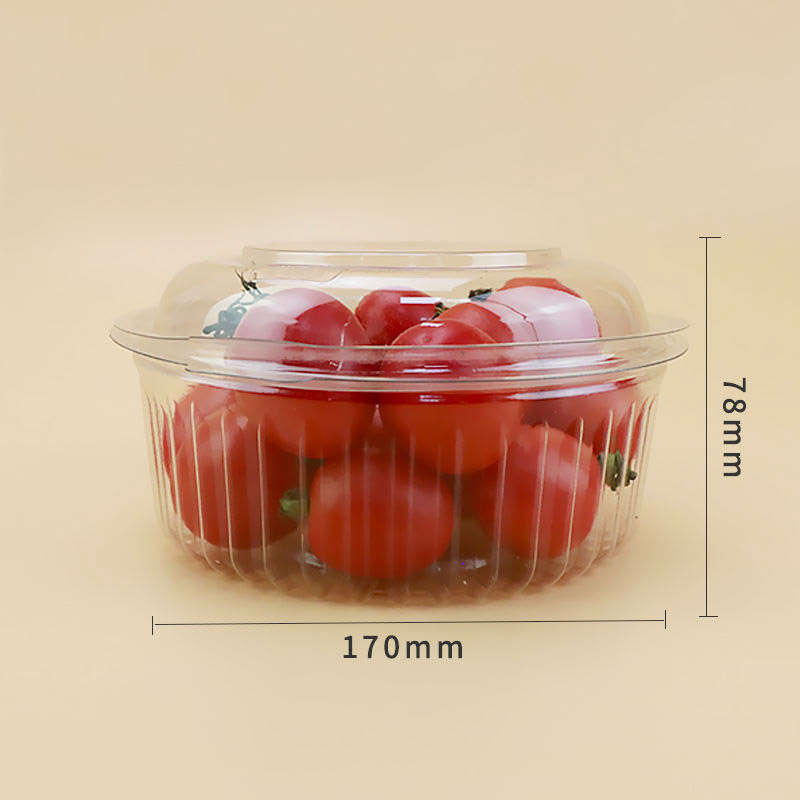 Nhựa trong suốt khảnăng trong suốt trong suốt đóng gói hộp đựng trái cây đóng gói trái cây