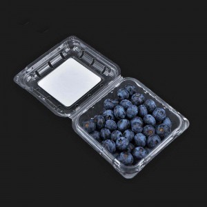 125g Bán buôn trong suốt Clamshell Blueberry Clamshell đóng gói trái cây