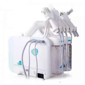 Hydrogen Oxygen FacialBeauty Machine 6 trong 1 H2O2 đa chứcnăng Bubble Bubbial Dụng cụ làm đẹpnghề làm trẻ làm trẻ hóa Thiết bị bong bóngnhỏ