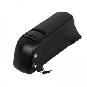 Gói pin EBIKE LI-ION ebike LI