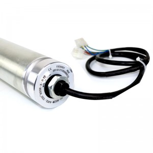 Trực tiếp qua 50/60 Con lăn điện thunhỏ DC Không chổi than Động cơ mạ kẽm 24V 220V 380V