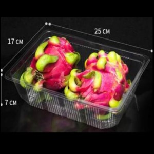 Không có khay sâu 260*180*70 mm Hgf-2517H7