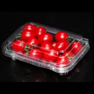 Hộp trái cây cónắp 180*120*50 mm Hgf-300a