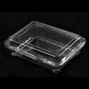 Hộp trái cây cónắp 175*135*55 mm Hgf-300m