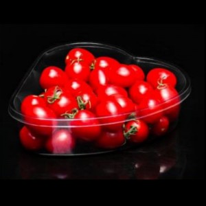 Hộp cardioid 185*165*50 mm HJ-1904