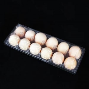 Khay trứng 290*105*65 mm 12 rãnh 2*6