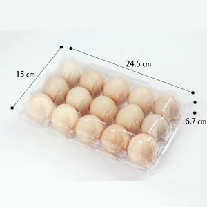 Khay trứng 245*150*67 mm 15 rãnh 42 g