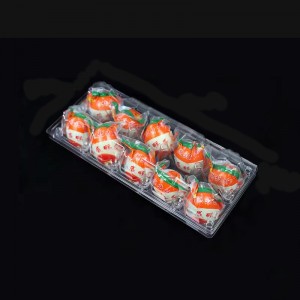 Khay trứng vịt 195*125*75 mm 10 rãnh