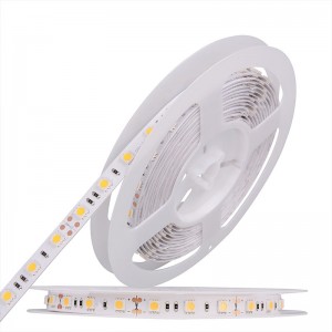5050 60leds/m Dải LED