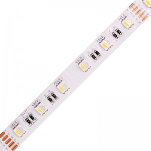 5050 60leds/m RGBW LED Dải