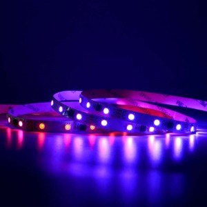 WS2811 48LEDS/M RGB Dải kỹ thuật số