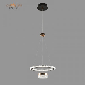 L8038 LED Pedant Light-3