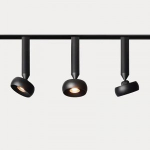 Nam châm ánh sáng theo dõi từ tính