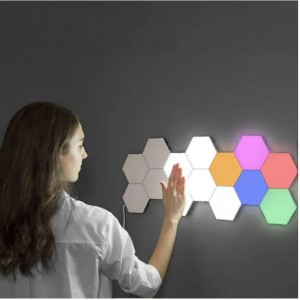 Nam châm ánh sáng theo dõi từ tính